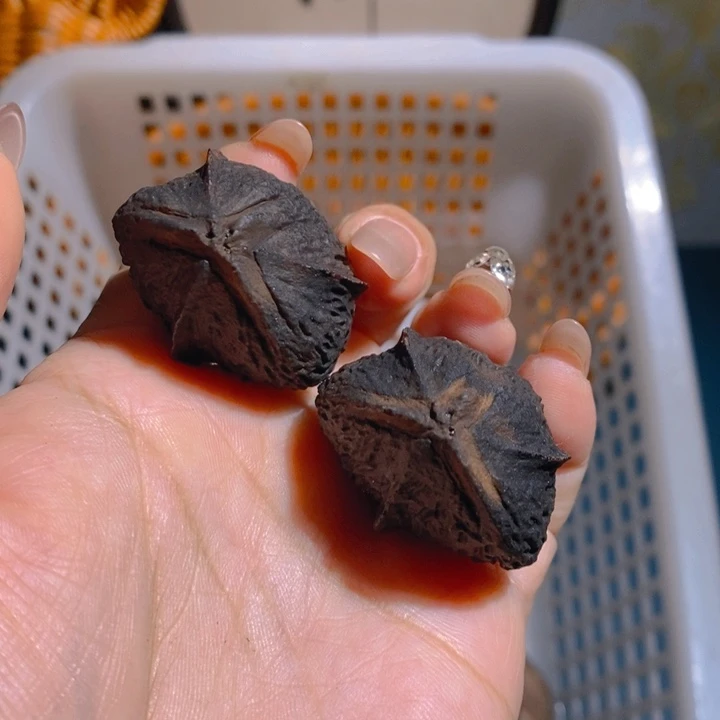 野生大橄榄核金蝉橄榄3550