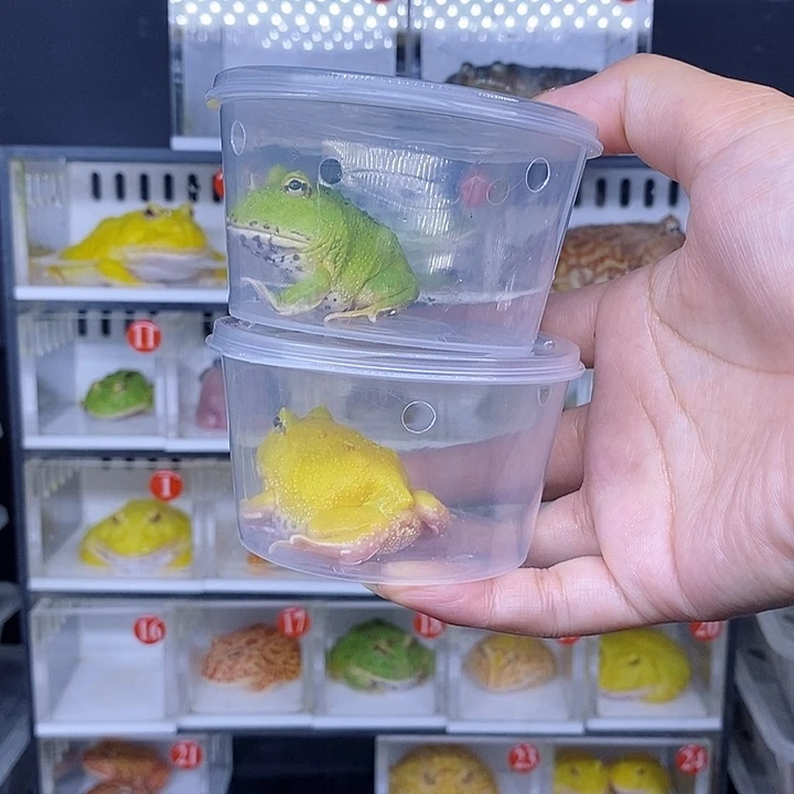 特价秒杀特价原价