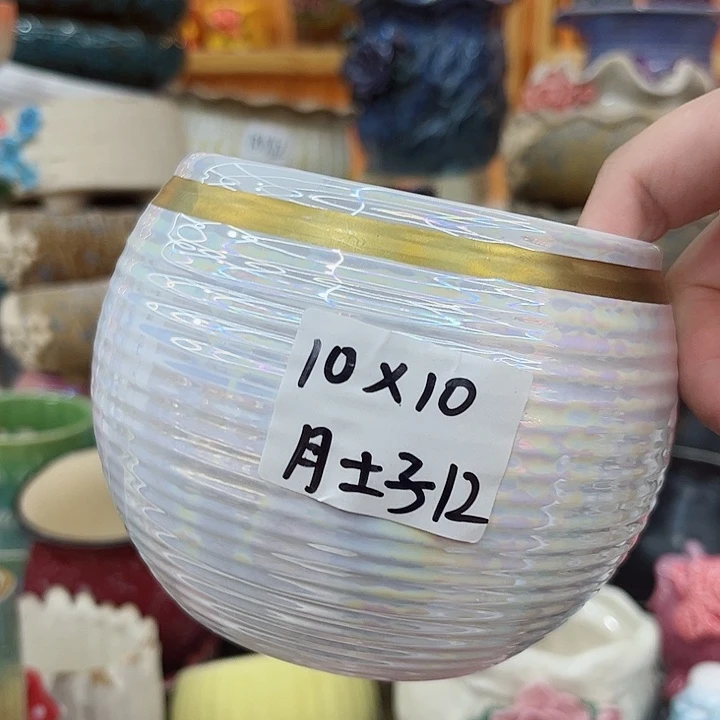 多肉植物陶瓷花瓶