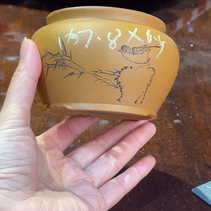 紫砂花盆没有什么可以