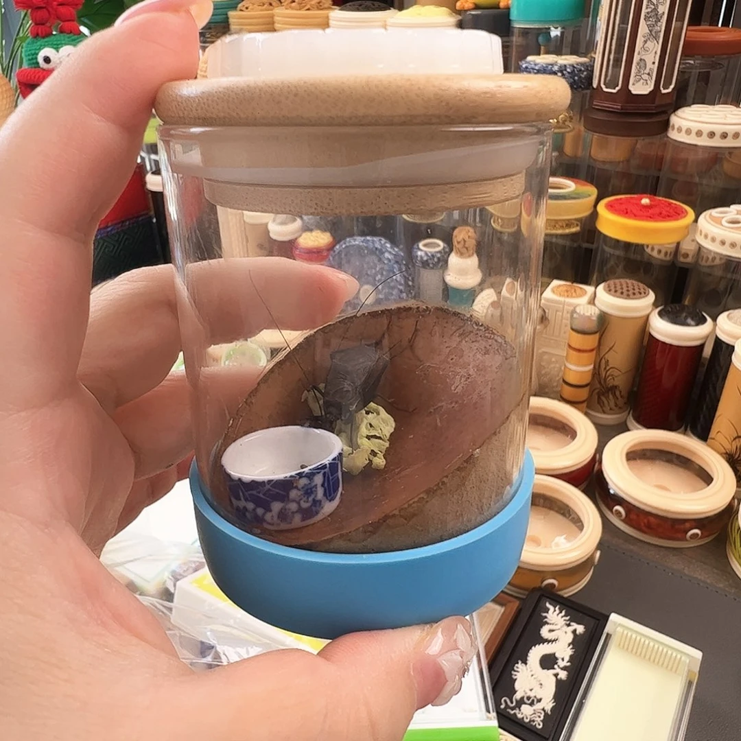 哈哈哈生态罐带麒麟