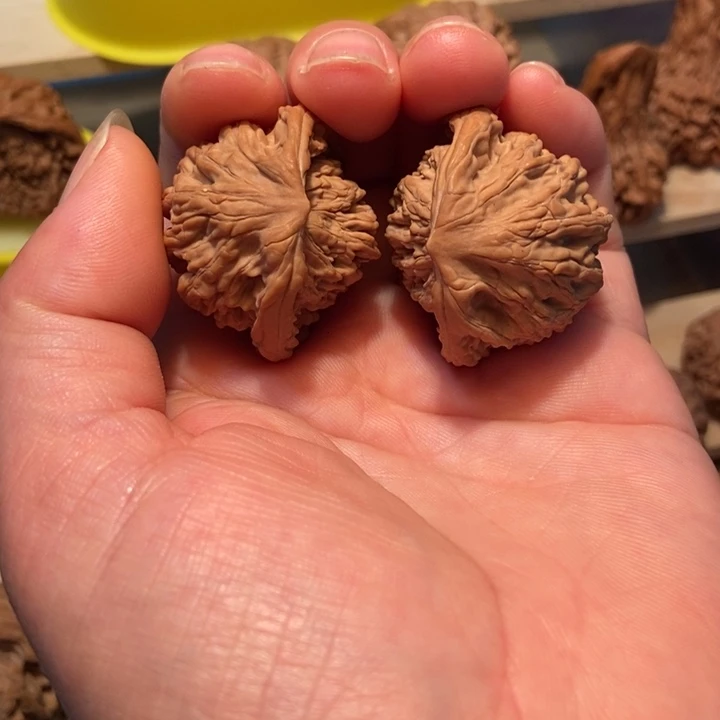 天***室官方网站发布消息显示