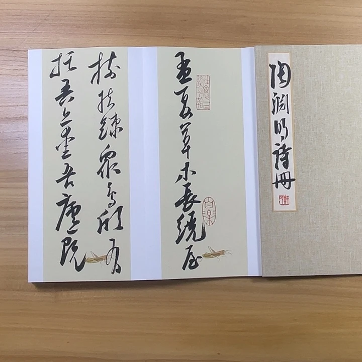 书法中书协老师书法作品