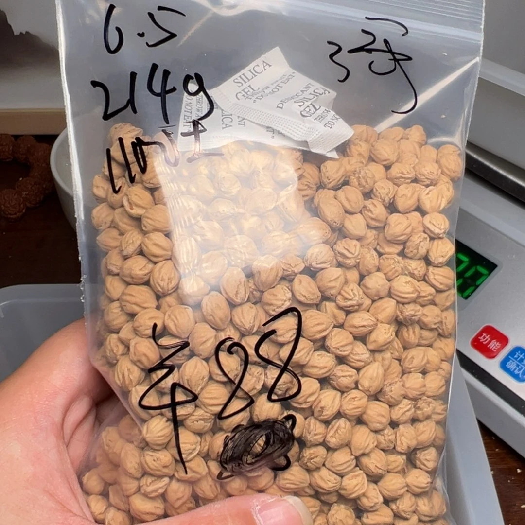 柏香籽/百香籽吊坠了