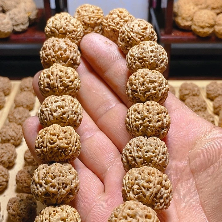 金刚菩提手串z*豪古龙梅花