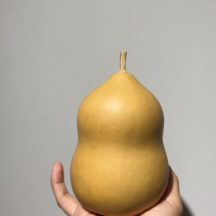 影***子天然新皮保定墩葫芦