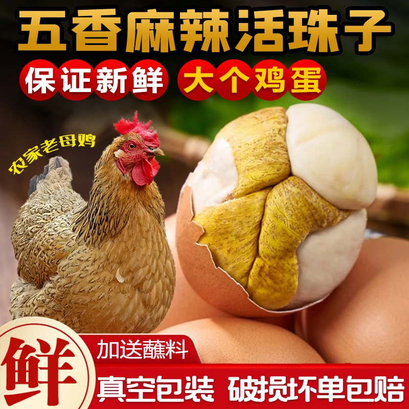 新鲜活珠子13天鸡胚蛋开袋即食熟钢化毛蛋香辣五香钢化红壳活珠子