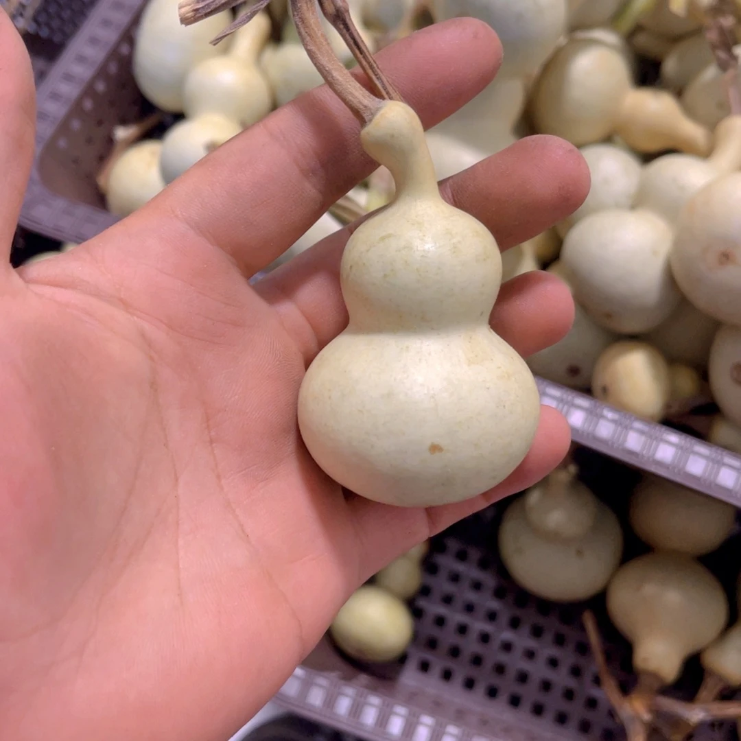 羊***洛感谢大哥支持兄弟，不保