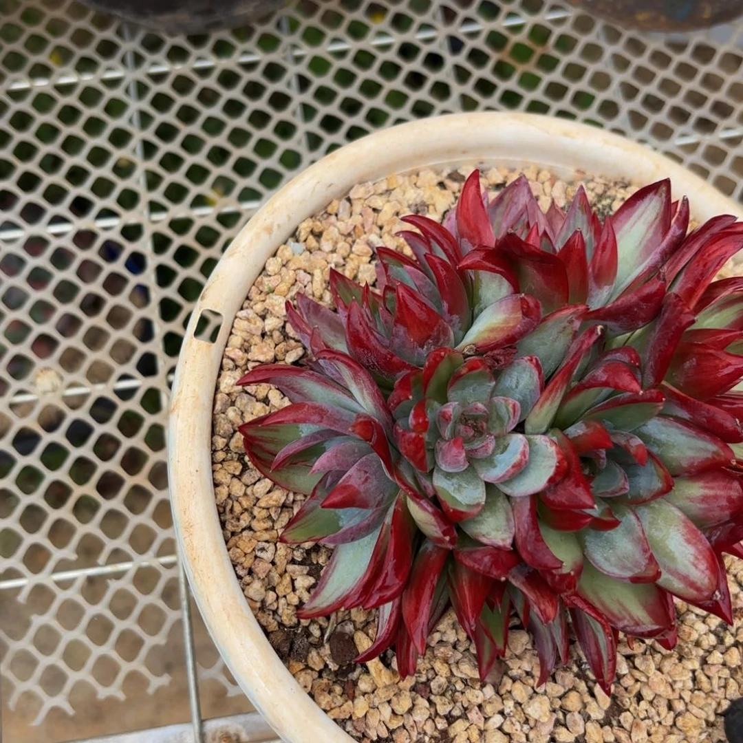 森***＊哈哈哈哈不好宝贝宝贝宝贝宝贝吧