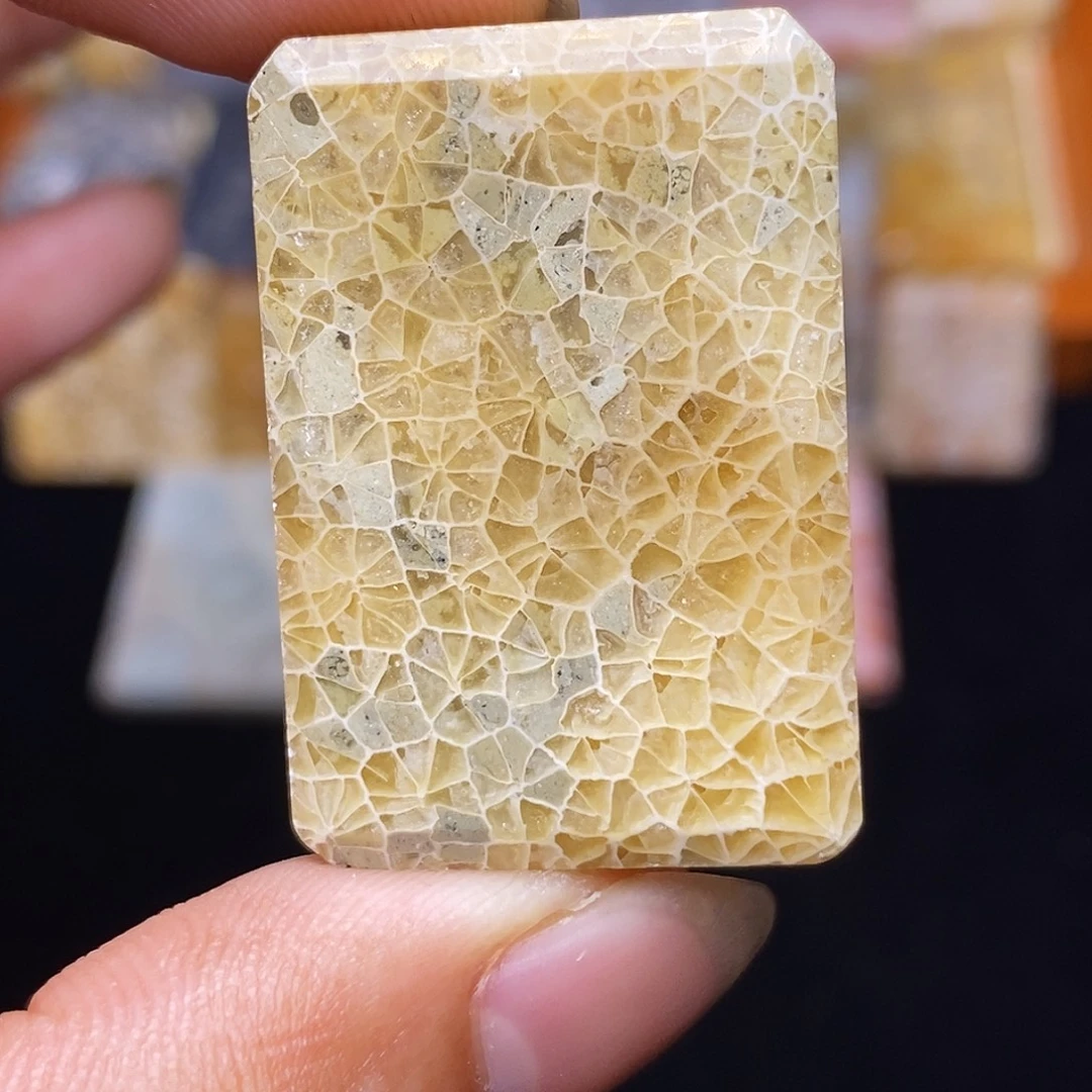 井***墓合金珊瑚玉硅化玉
