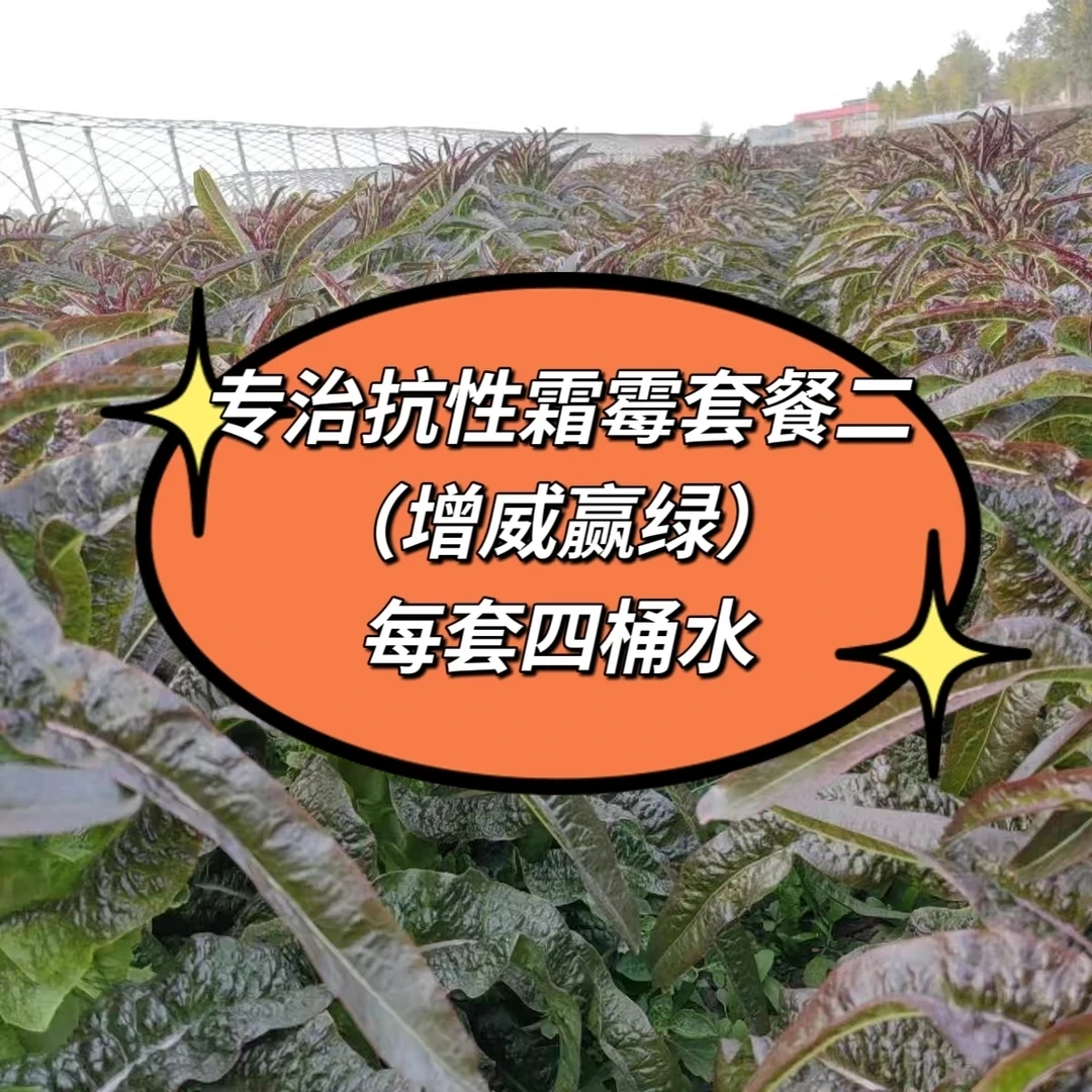 抗性霜霉套餐二（增威赢绿）