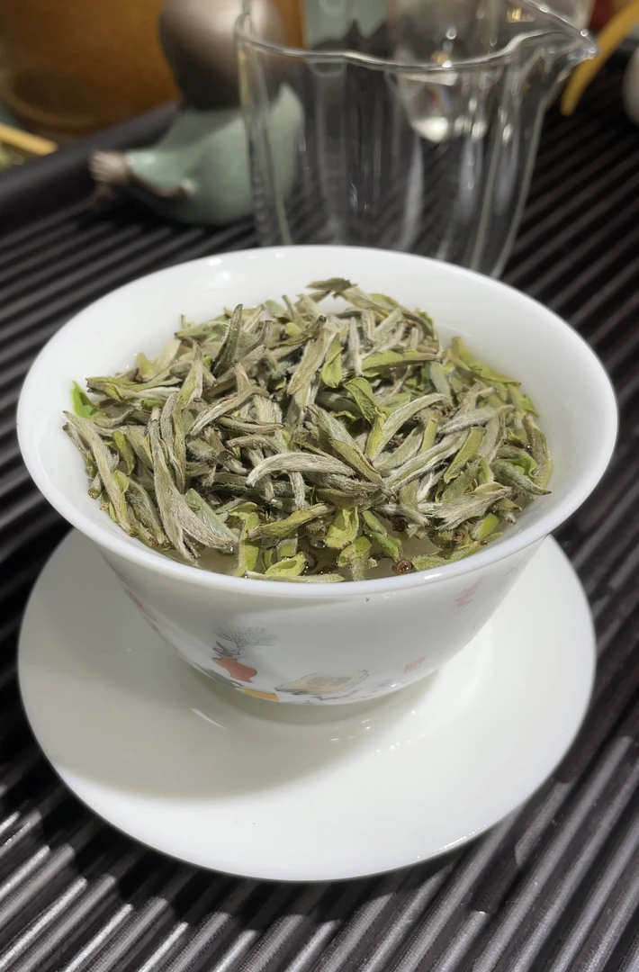 2025年特级首采白毫银针 | 福鼎磻溪 | 高山老树原料 | 500克