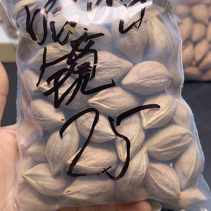 哈***镜手串/手链橄榄核111