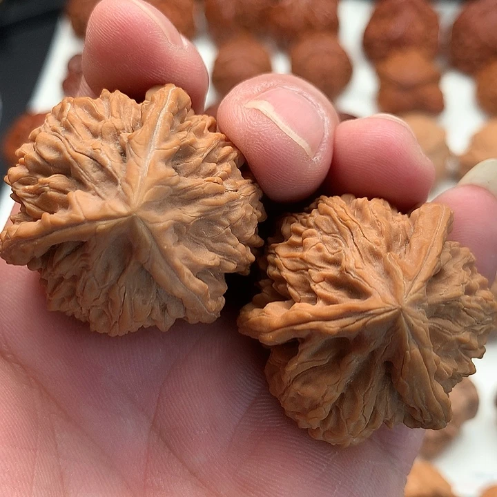 把件文玩核桃精御龙粗筋三棱