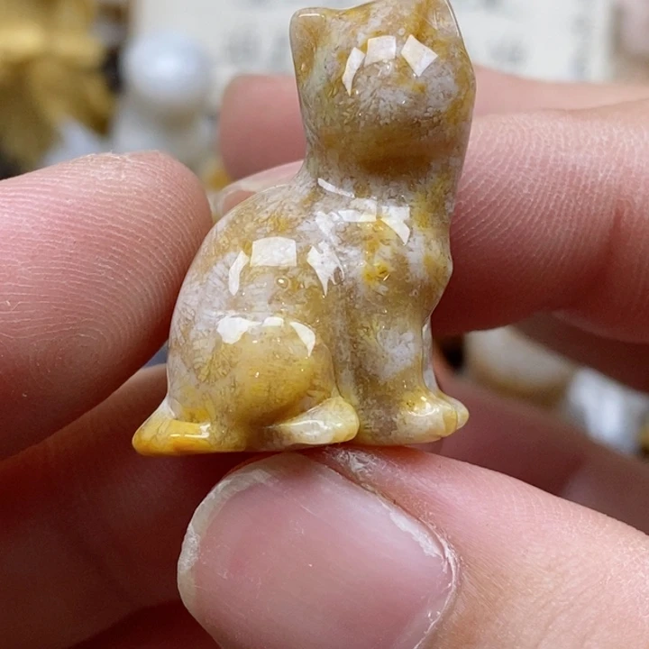 颈饰未镶嵌硅化珊瑚（珊瑚玉）小摆件