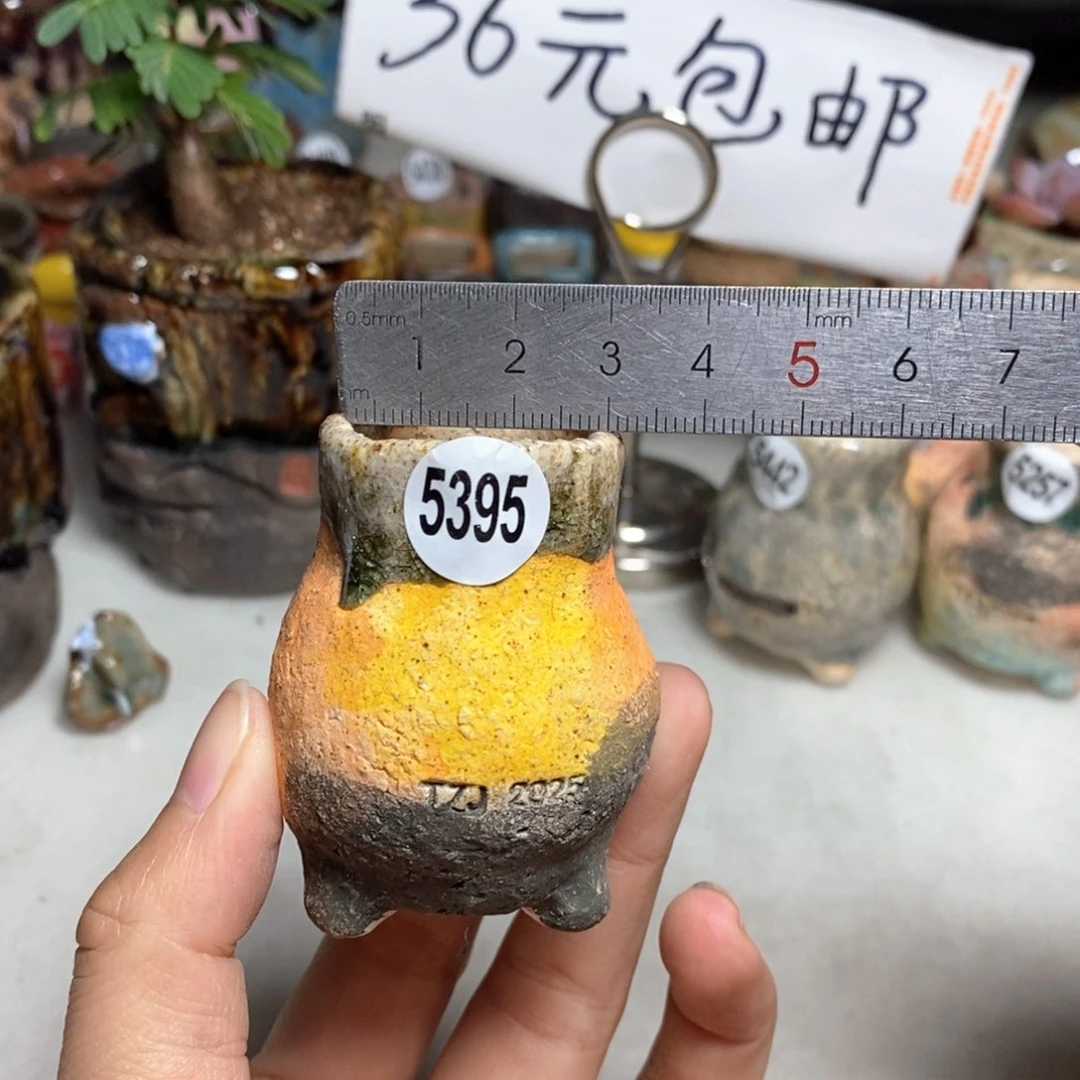 拍3送一个小礼物