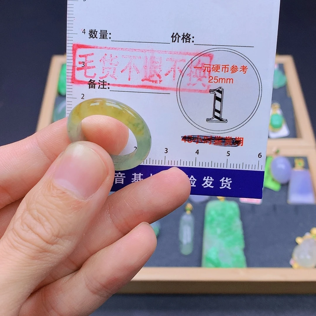 逍***）翡翠未镶嵌颈饰翡翠