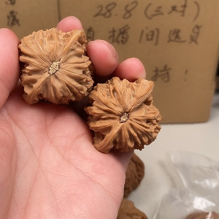 和***谐木质类122.122.122