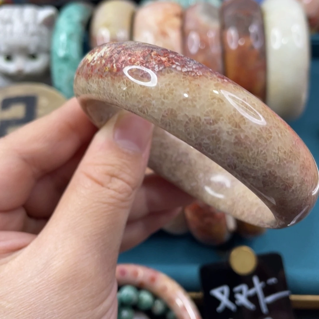 未镶嵌手镯硅化玉