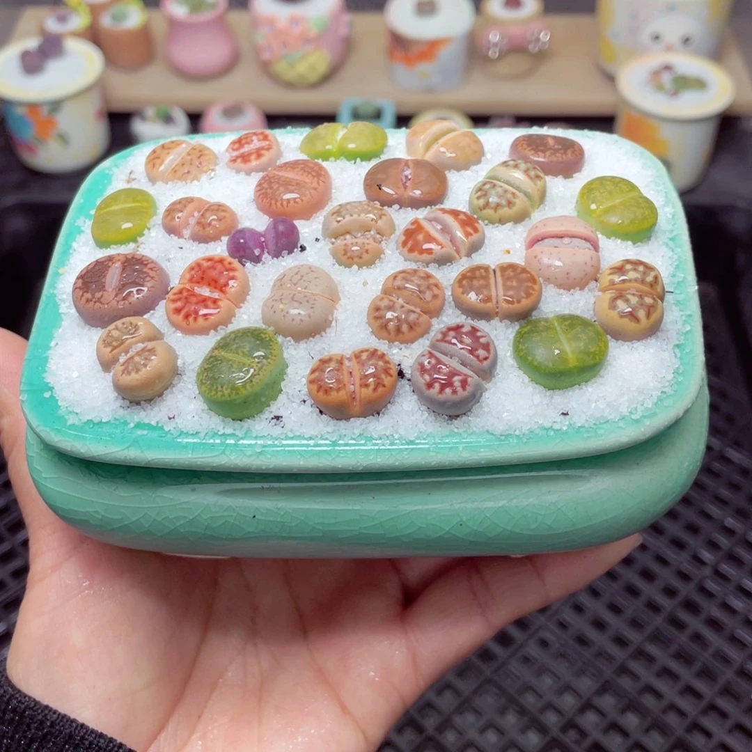 w1236 带盆土发货-零下地区拍保温箱