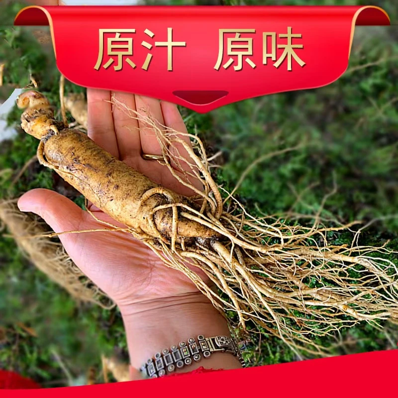 长白山新鲜现挖单支50克左右一单一拍（现场截屏）清洗后不退