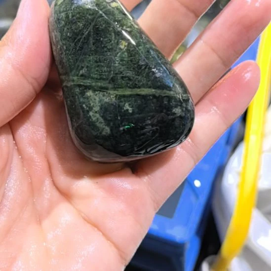 胡***树木藏玉药王石原石一个