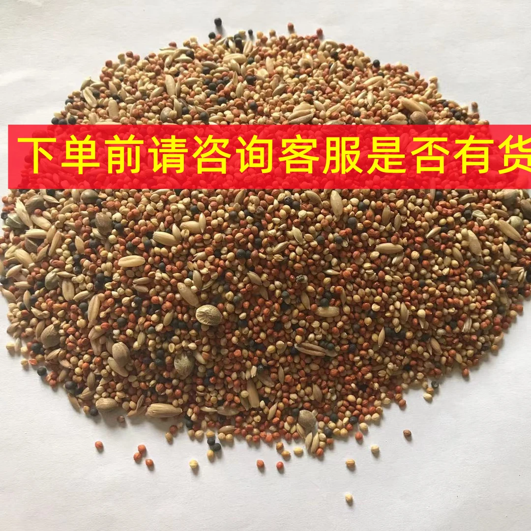 鹦鹉断奶粮混合鸟粮适合断奶鹦鹉