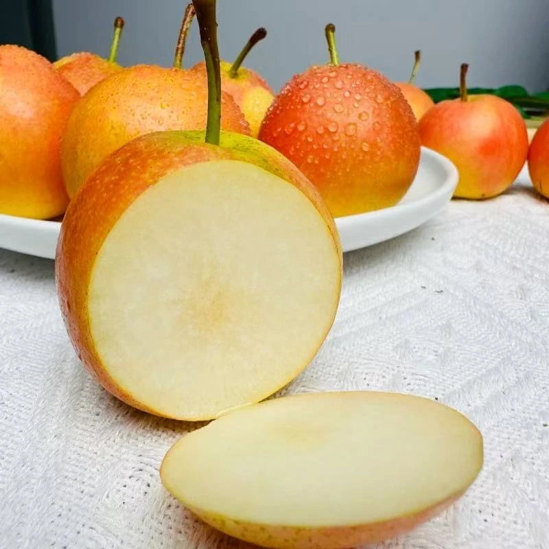辽宁特产新鲜鞍山南果梨鞍山南国梨5斤包细腻多汁爽口