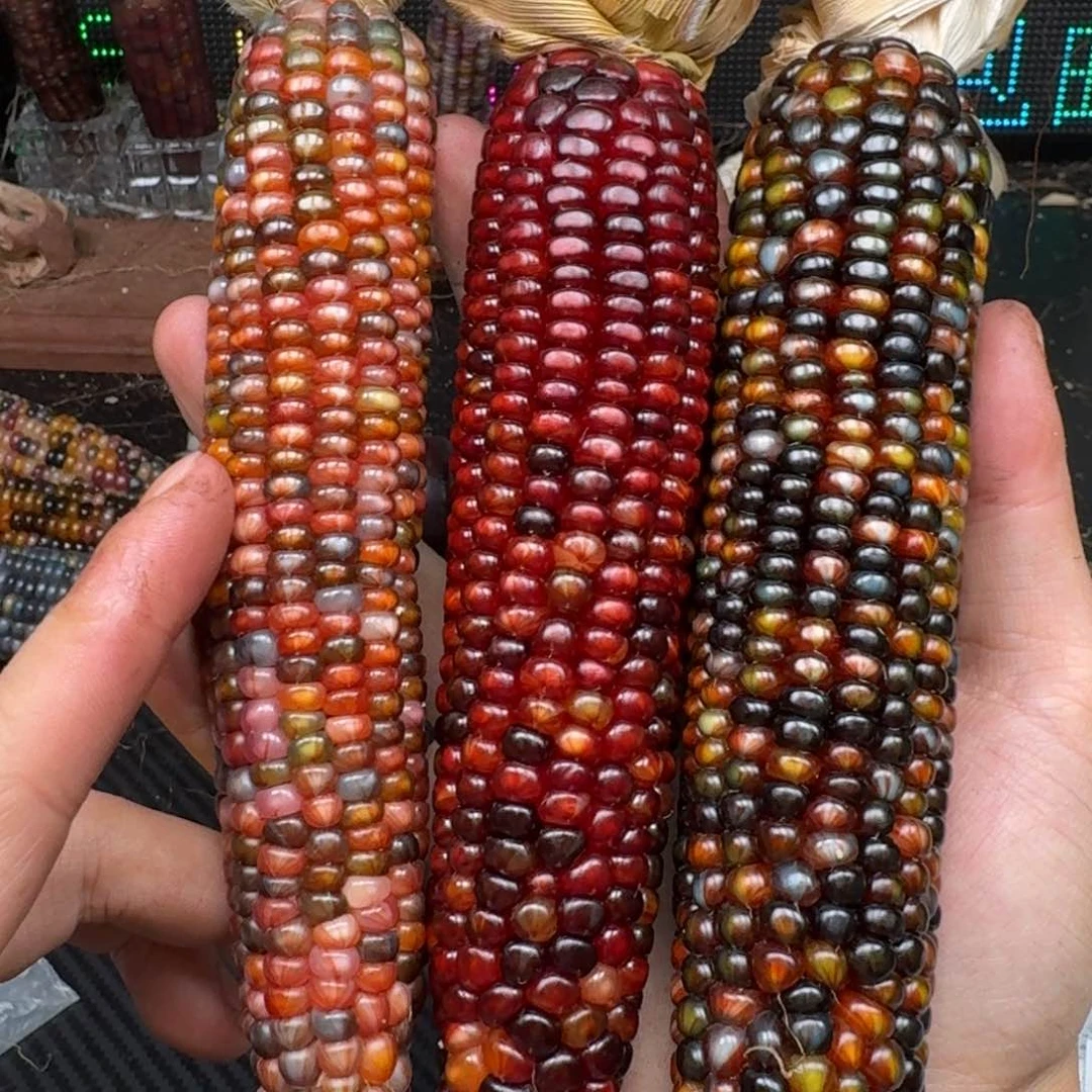 柏香籽/百香籽吊坠别****米