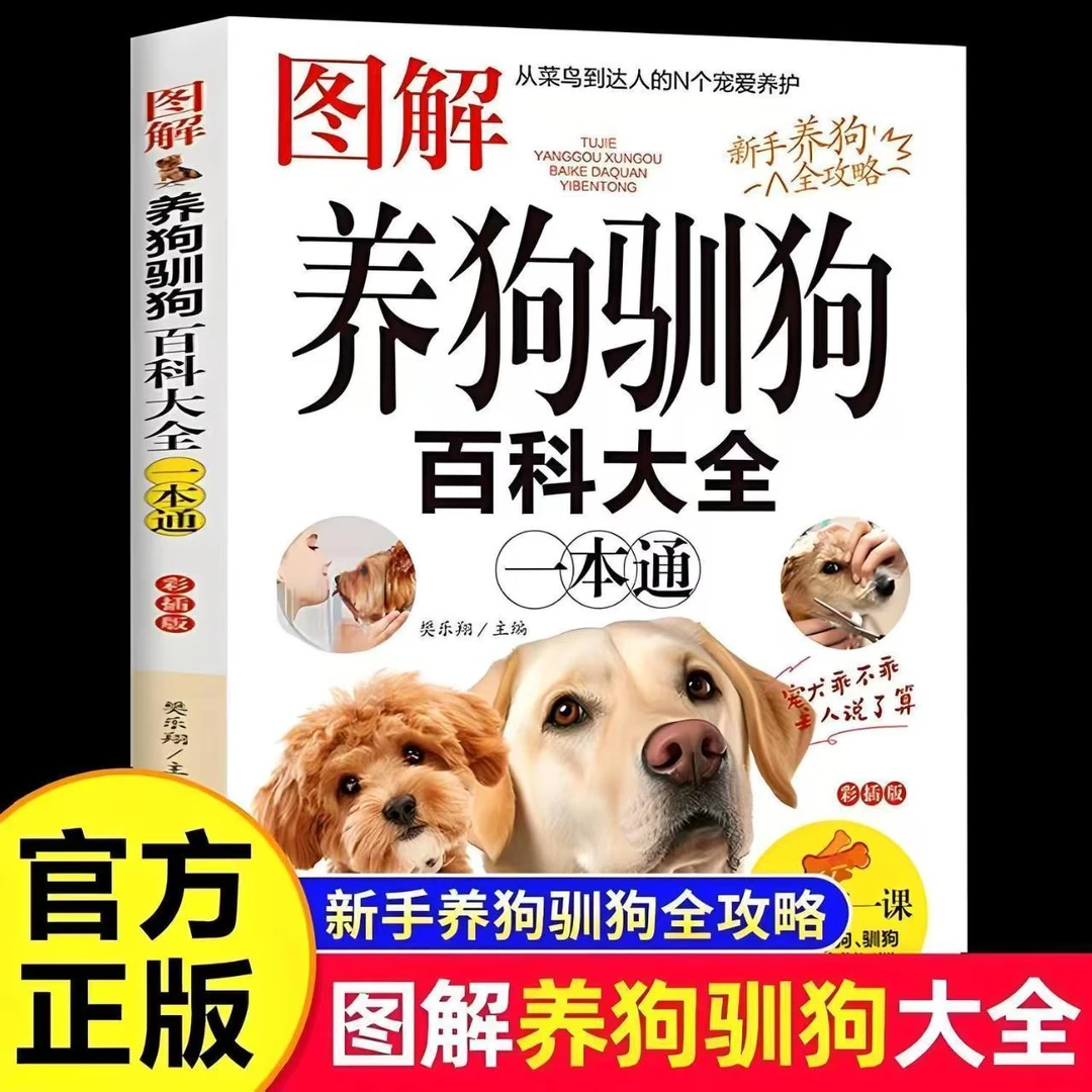 小熊教你如何选狗狗