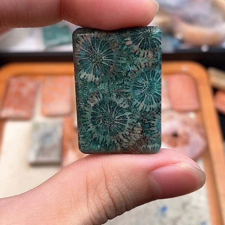 硅化玉颈饰未镶嵌小*