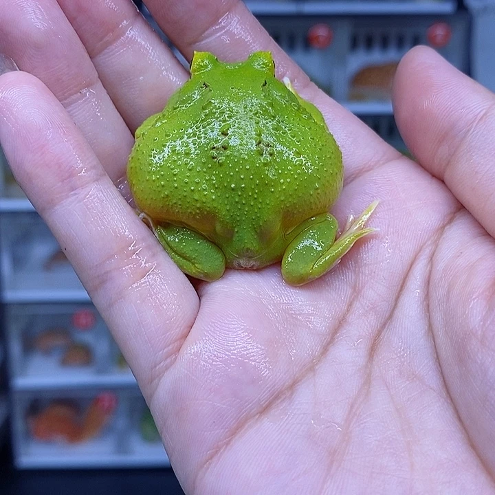 特价秒杀现货特价