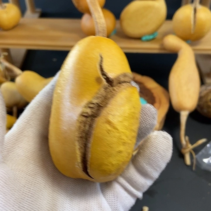 回***~葫芦葫芦真的