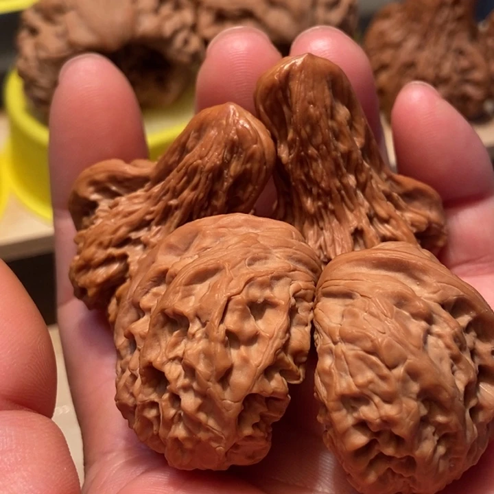 董****官方网站发布消息