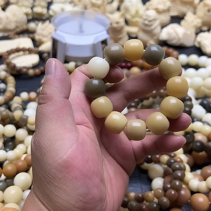 吊坠菩提根/象牙果大老行