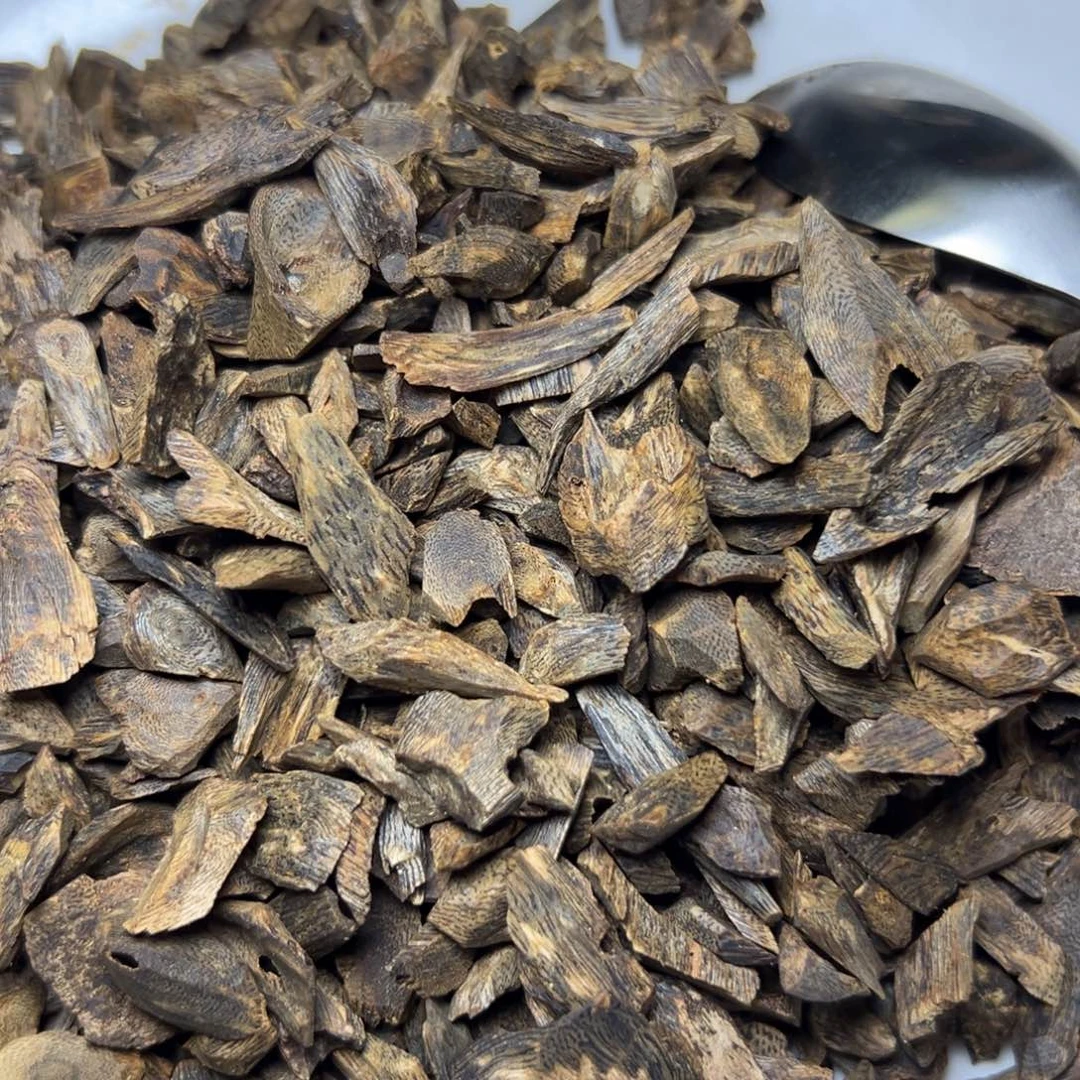 小***学树脂制品海南树丁留疤料102g