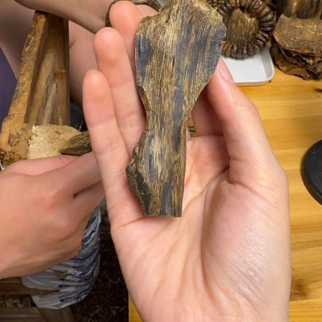 沉香沉香碎屑张勺子块料19克