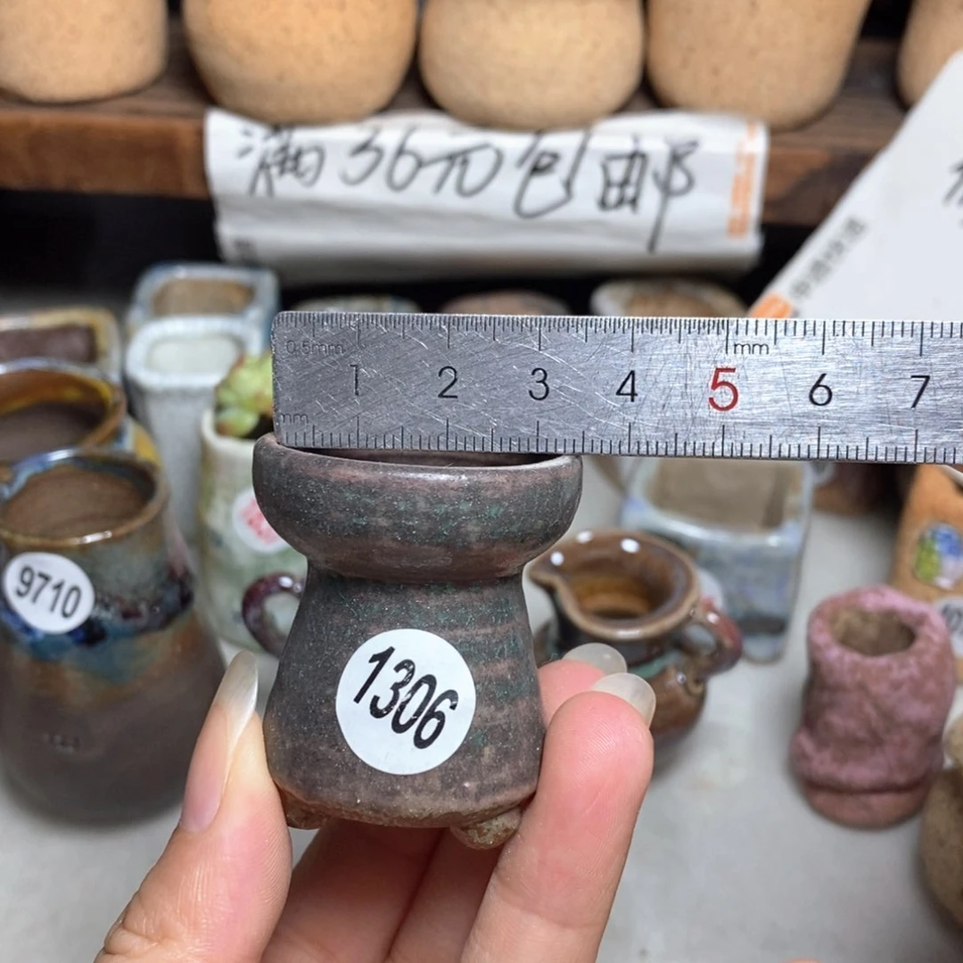 拍5送一个小礼物