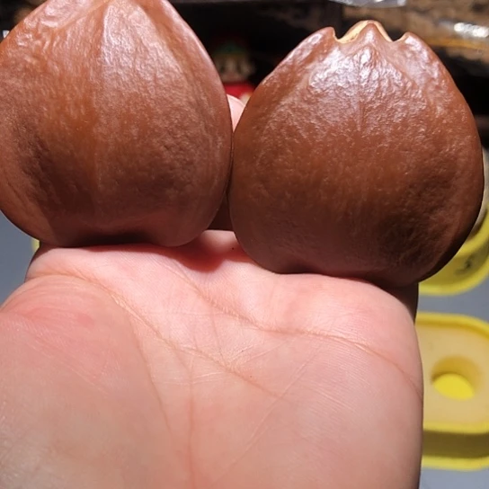 橄榄核把件异型三角橄榄