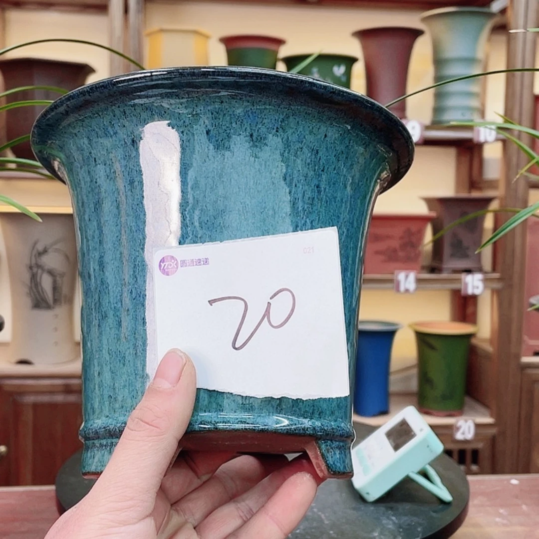 【闪购商品】紫砂花盆清**月兰花855655545558885558