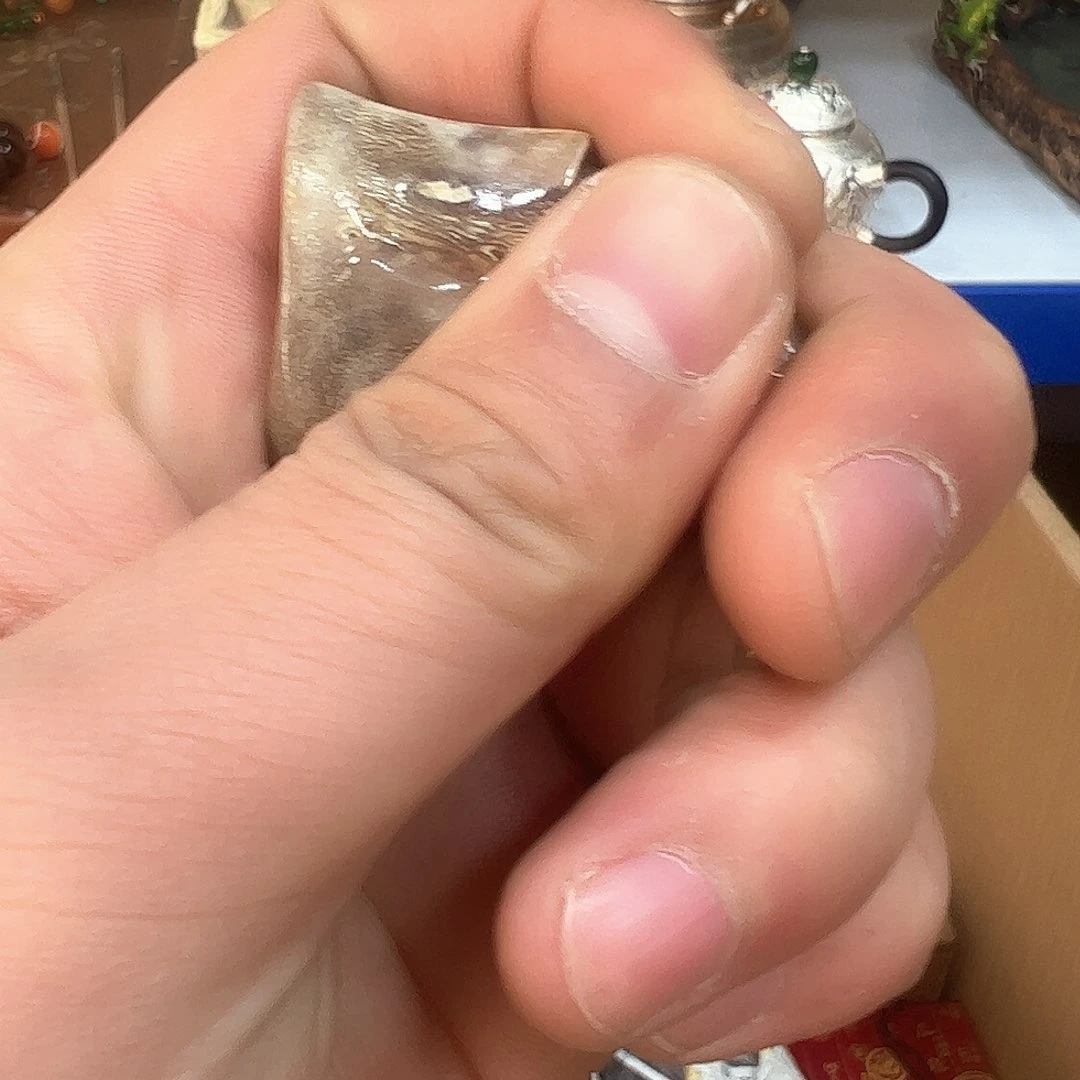 茶盏我们的生活方式是什么