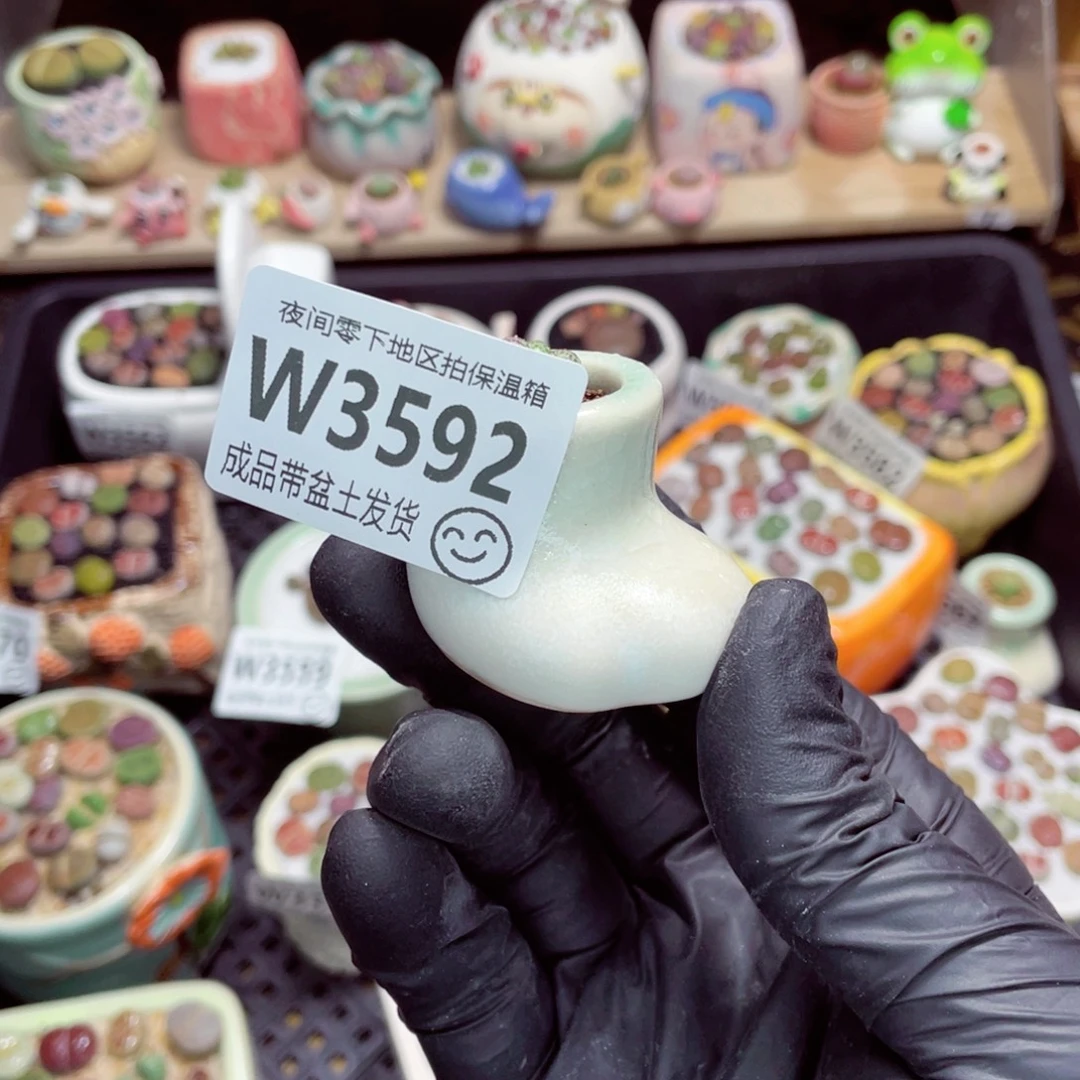 夜间零下地区拍保温箱w3592