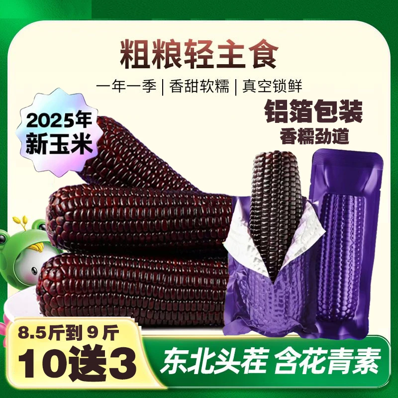 （试吃3根）2025年鲜采粘糯黑糯玉米13支单只300-380g（整箱8.5-9斤）