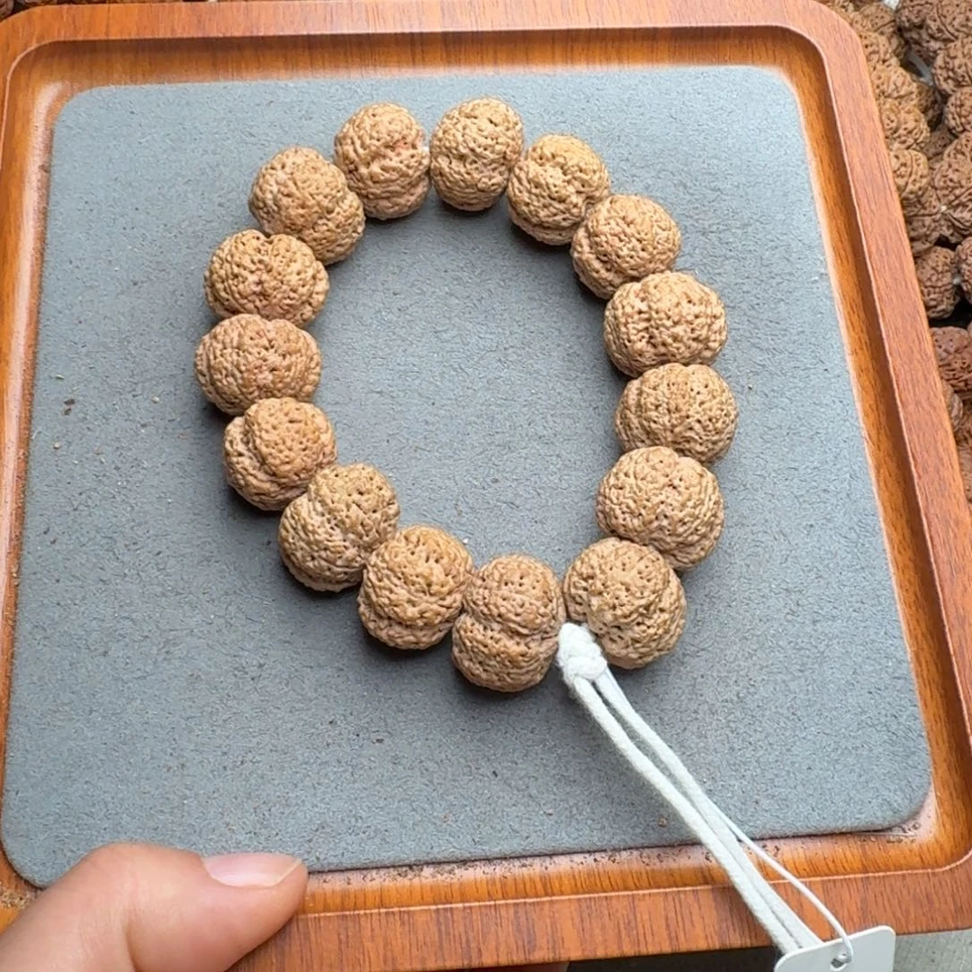 菩提菩提5号尼泊尔大金刚22+菠萝蜜