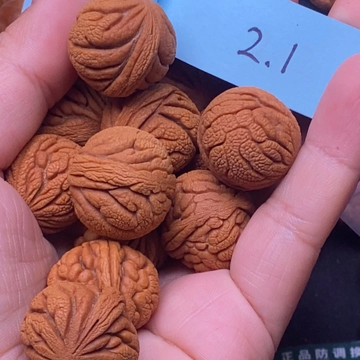 同***志秦岭龙纹桃核13颗