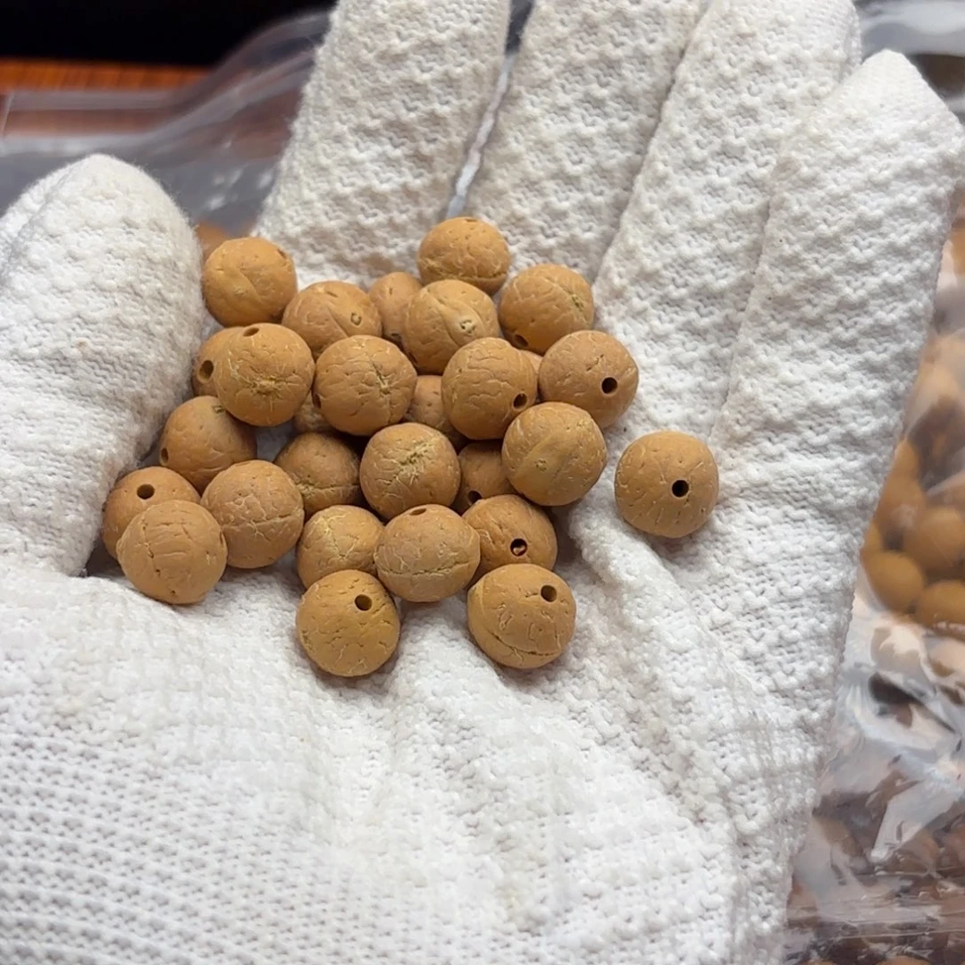 高***高凤眼菩提吊坠凤眼菩提实心籽11