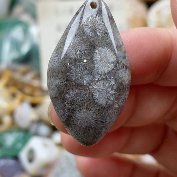 硅化珊瑚（珊瑚玉）未镶嵌颈饰小