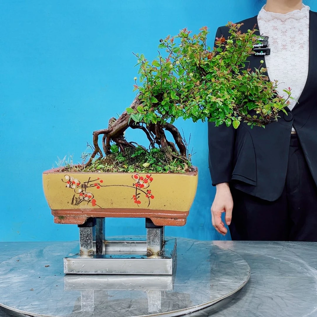 无铅玻璃岭南文化艺术中心的