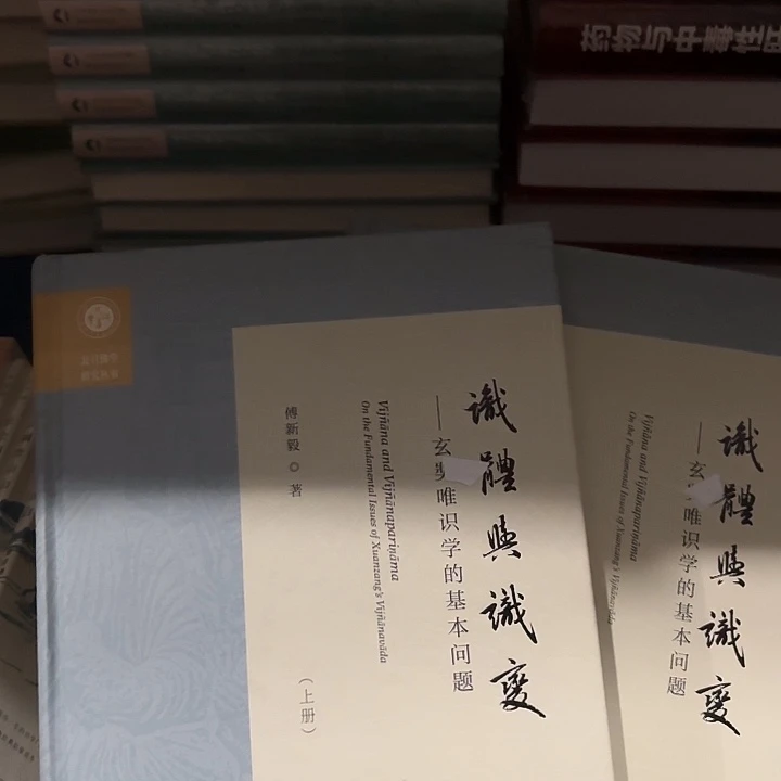 识体与识变上下册