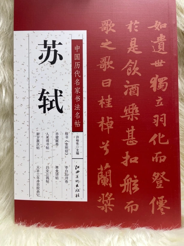 中国历代名家书法名帖 苏轼